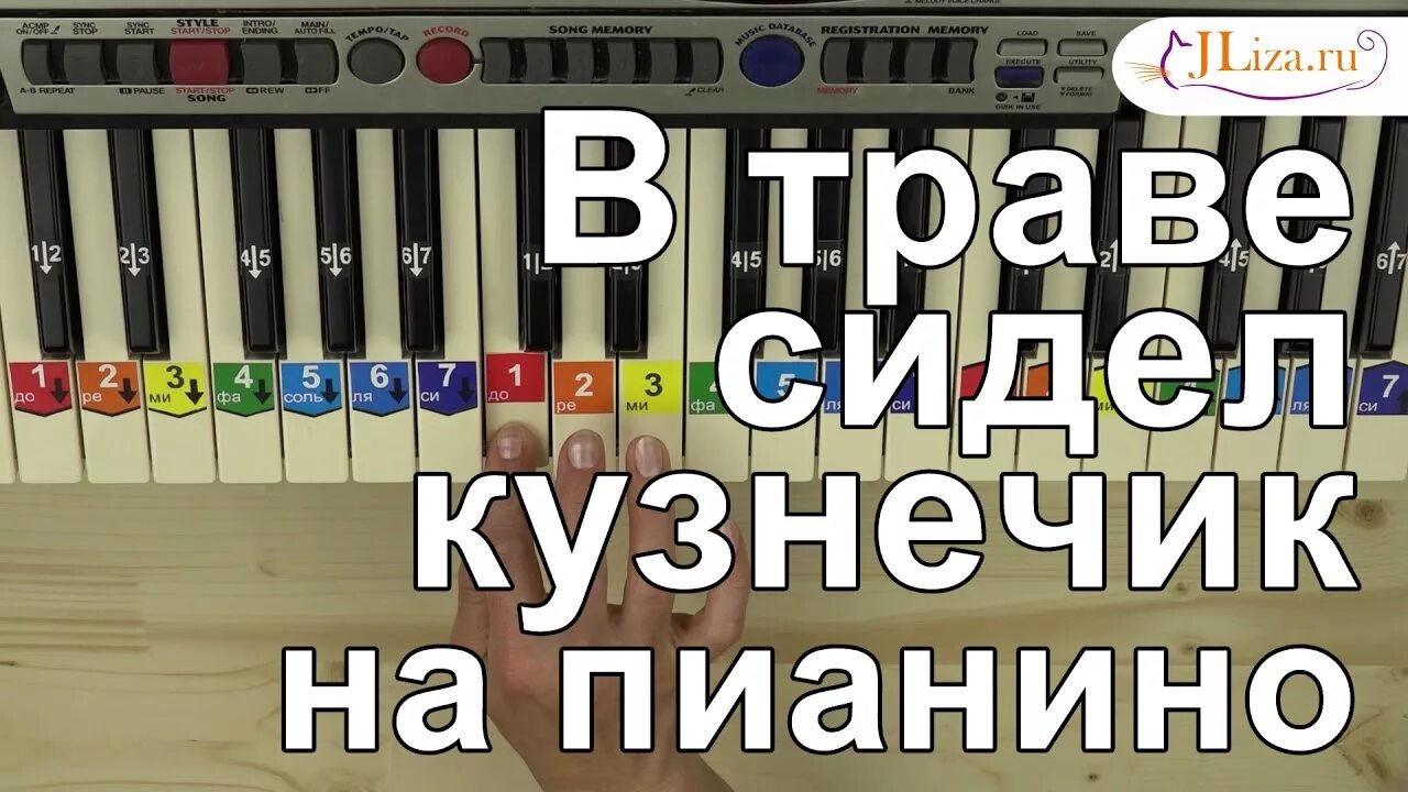 В траве сидел кузнечик на пианино. Кузнечик на пианино. Кузнечик на детском пианом. Кузнечик на детском синтезаторе. Как играть на пианино сидит