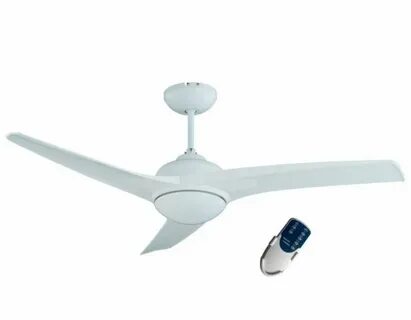 Fan special