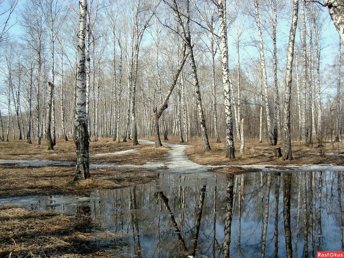 Начала весны среднем начало. Весенняя Проталинка Левитана.