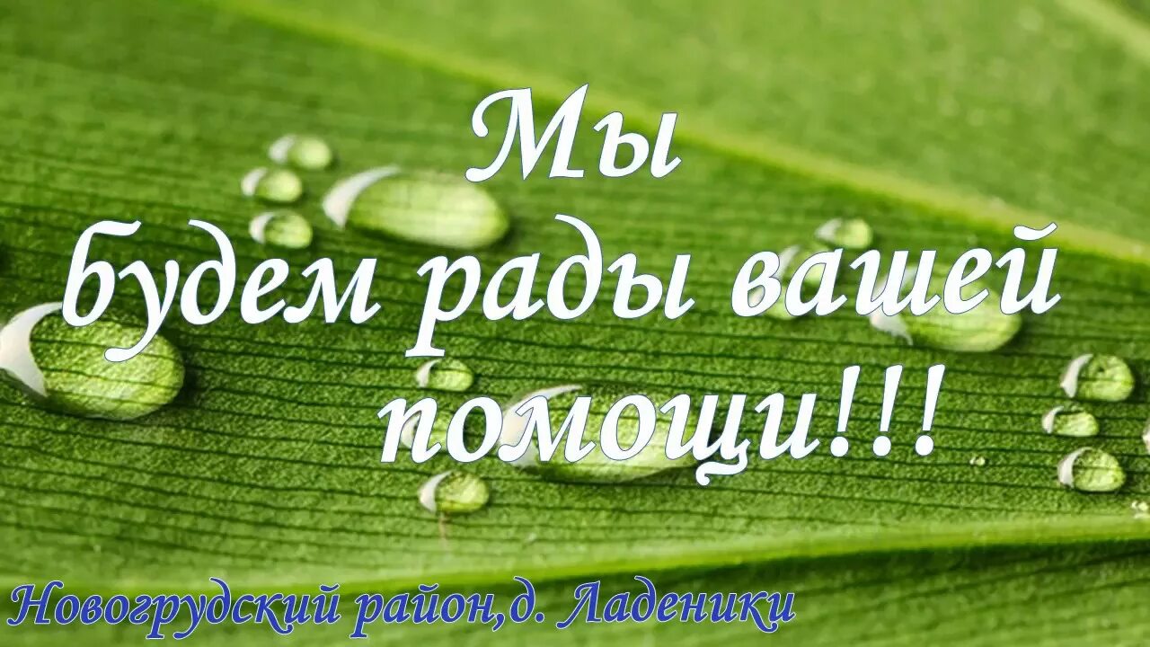 И будут рады любому. Мы будем рады вашей помощи. Просьба о помощи картинки. Нужна ваша помощь. Помогите картинка.