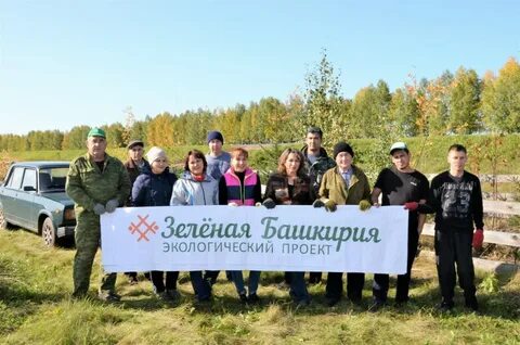 Зеленая башкирия