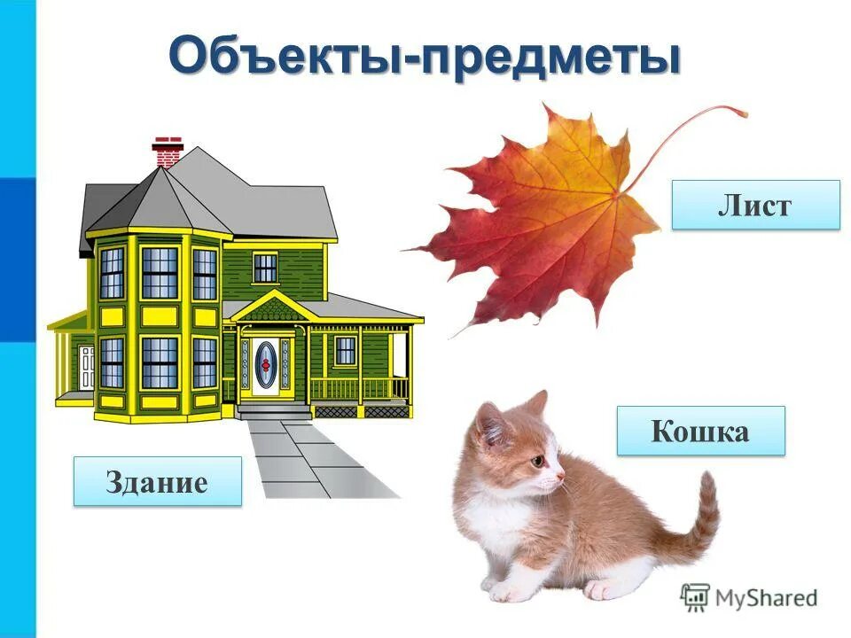 Информатика. Схема обработки информации. Презентация по информатике компьютерные объекты. Совокупность набор коллекция объектов это. Презентация по информатике.