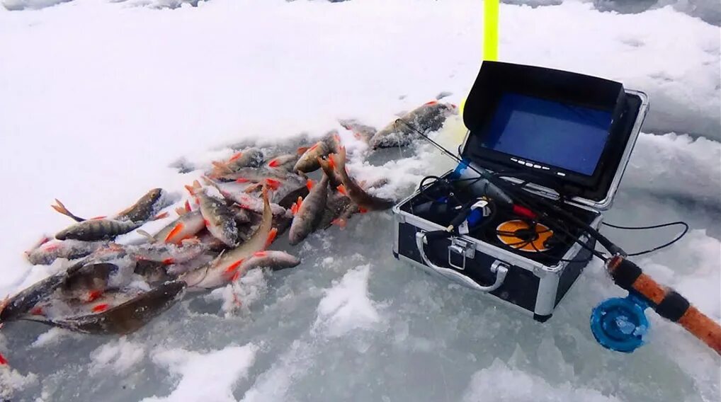 Зимняя торпеда. Камера для зимней рыбалки. Рыболовные видеокамеры для зимней. Рыболовная камера для зимней рыбалки. Подводная камера для зимней рыбалки.