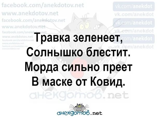 Текст когда я стараюсь вспомнить матушку такою. Ты меня ругаешь за вино. Стих послепраздничный ты меня ругаешь за вино в борще а я. Ты меня ругаешь за вино в борще я пытаюсь вспомнить. Ты меня ругаешь за вино в борще картинки.