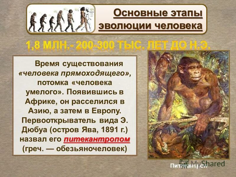Время всего существования каких. Человек умелый время существования. человек умелый человек прямоходящий. человек прямоходящий период. homo habilis появился в эпоху.