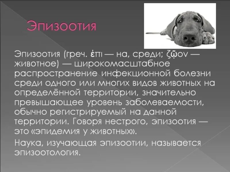 Эпизоотия животных. Заболевания эпизоотии. Эпидемии эпизоотии эпифитотии обж. Эпизоотия сибирская язва. Профилактика эпизоотии.