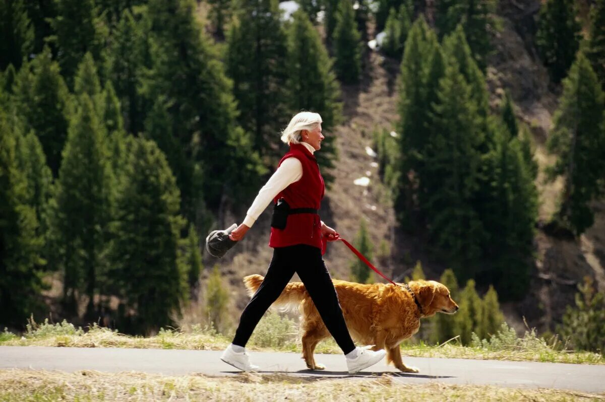 Can have a walk with