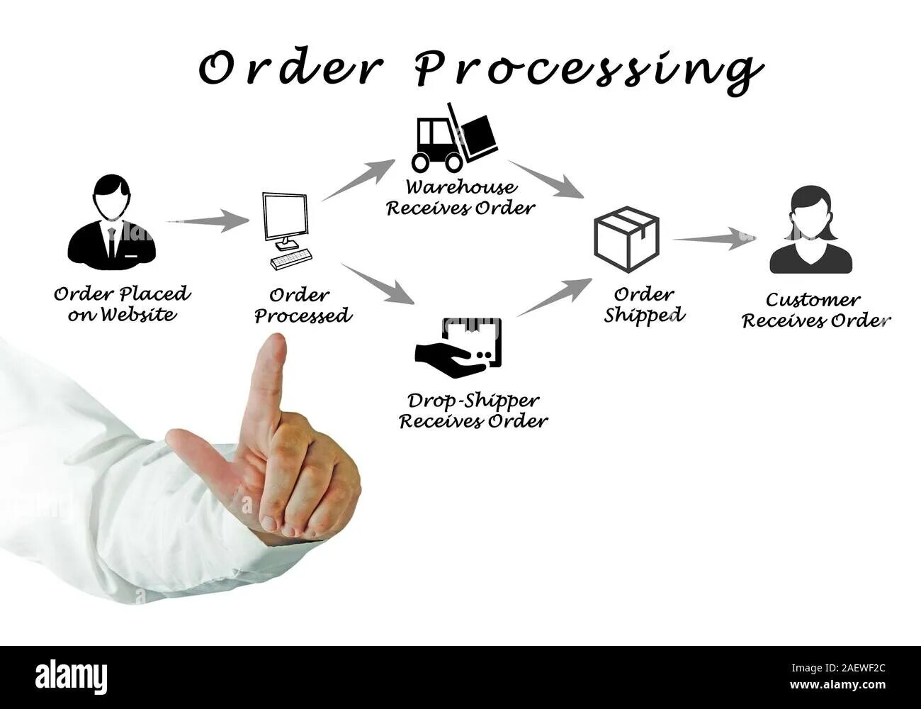 Processing your order. Обработка заказов. Обработка заказа картинка. Order processing. Order is processed web.