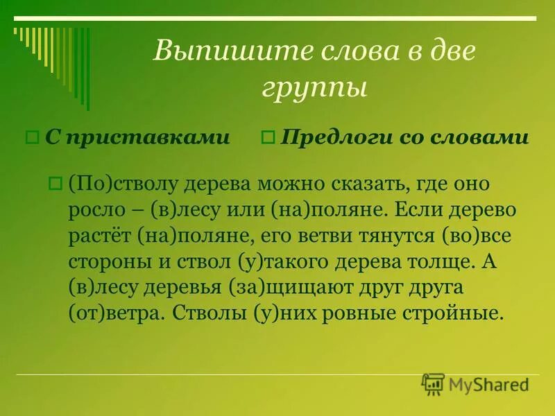 Скажи откуда текст. По стволу дерева можно сказать где оно росло в лесу. Деревья по стволам. Выпишите слова. По стволу дерева можно сказать где оно росло в лесу или на Поляне.