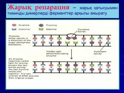 Репарация стране