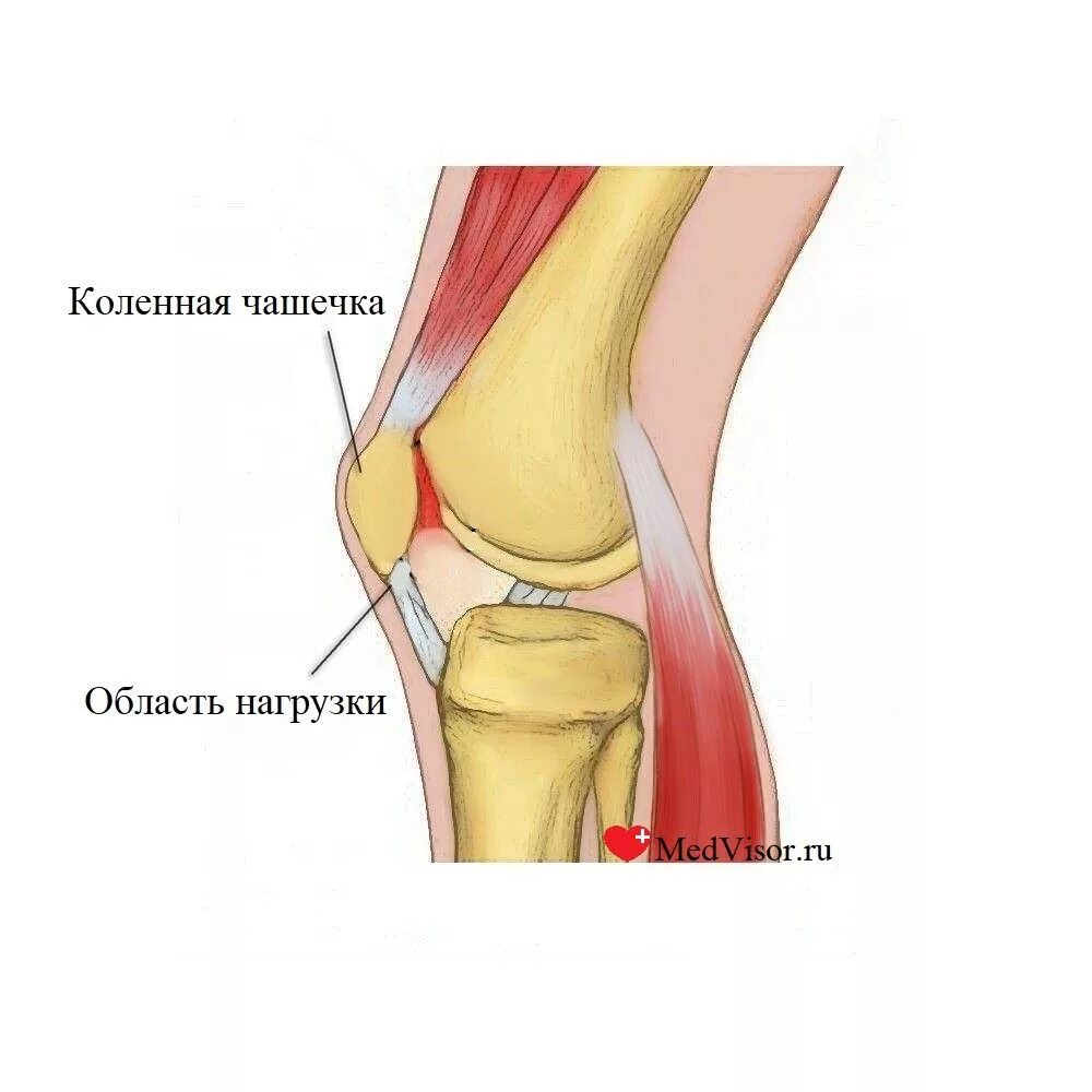 Сильные боли при разгибании колена. Коленный сустав строение пателла. Коленная чашечка анатомия. Хондропатия надколенника.