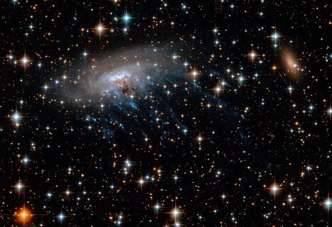 Sky universe