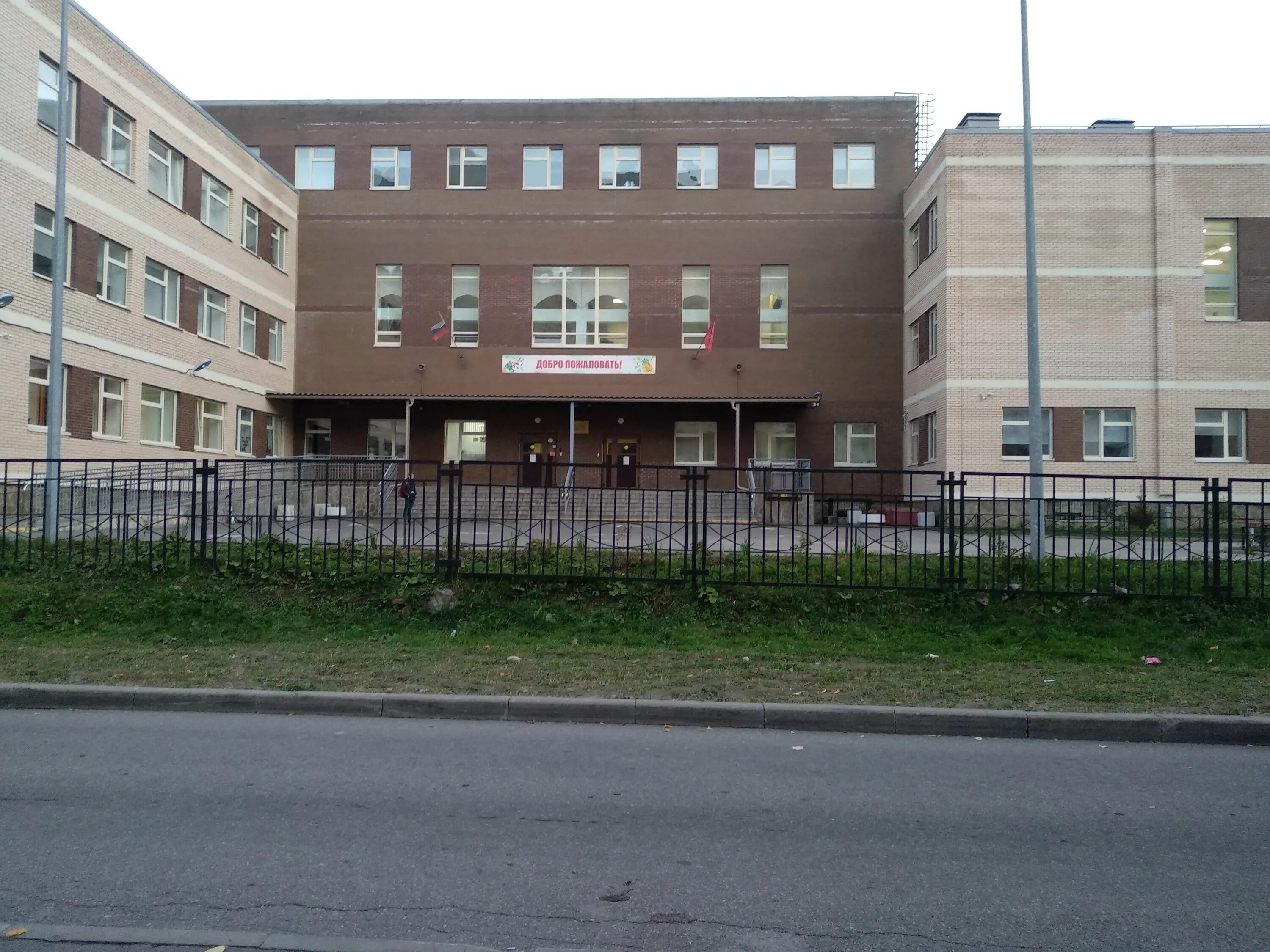 лицей 572 невского района санкт-петербурга. школа 175 калининского района санкт-петербурга. школа 310 фрунзенского района. школа 233 красногвардейского района. школа 182 санкт-петербург.