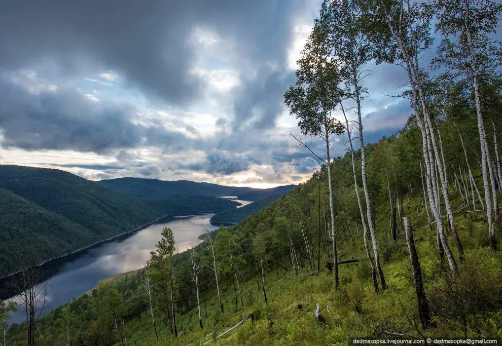 Амур область. Амур область. Зея амурская область природа. Приамурье амурская область. Амурская область карта с населенными пунктами.