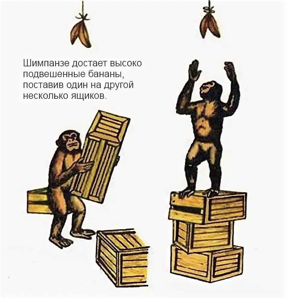 Того что бы их достать