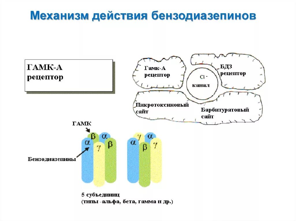 Снотворные механизм действия. Бензодиазепиновые рецепторы фармакология. Бензодиазепины патогенез. Механизм действия снотворных – производных бензодиазепинов. Бензодиазепиновые препараты механизм действия.