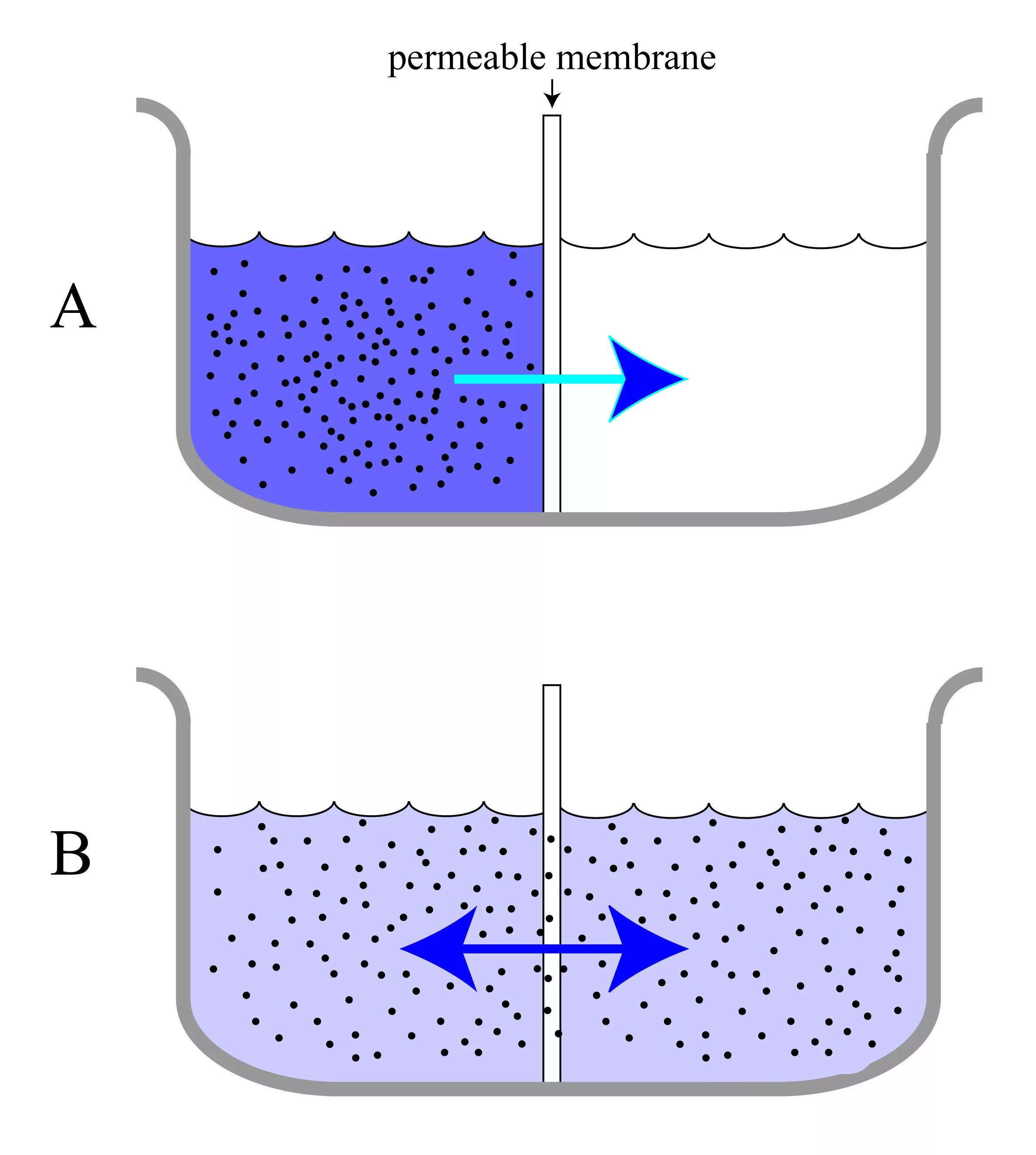 Unstable diffusion. Unstable diffusion нейросеть. stable diffusion картинки. stable diffusion или unstable diffusion. unstable diffusion фото.
