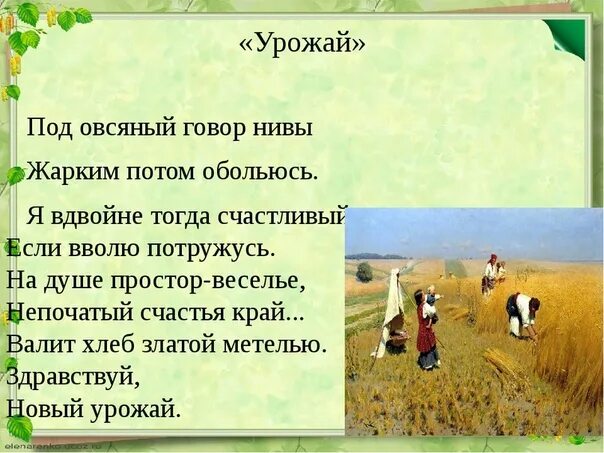 Подумаешь решишь задачу посеешь урожай. Стихотворение про урожай. афоризм про урожай. стихи под урожай. стихи про сбор урожая.