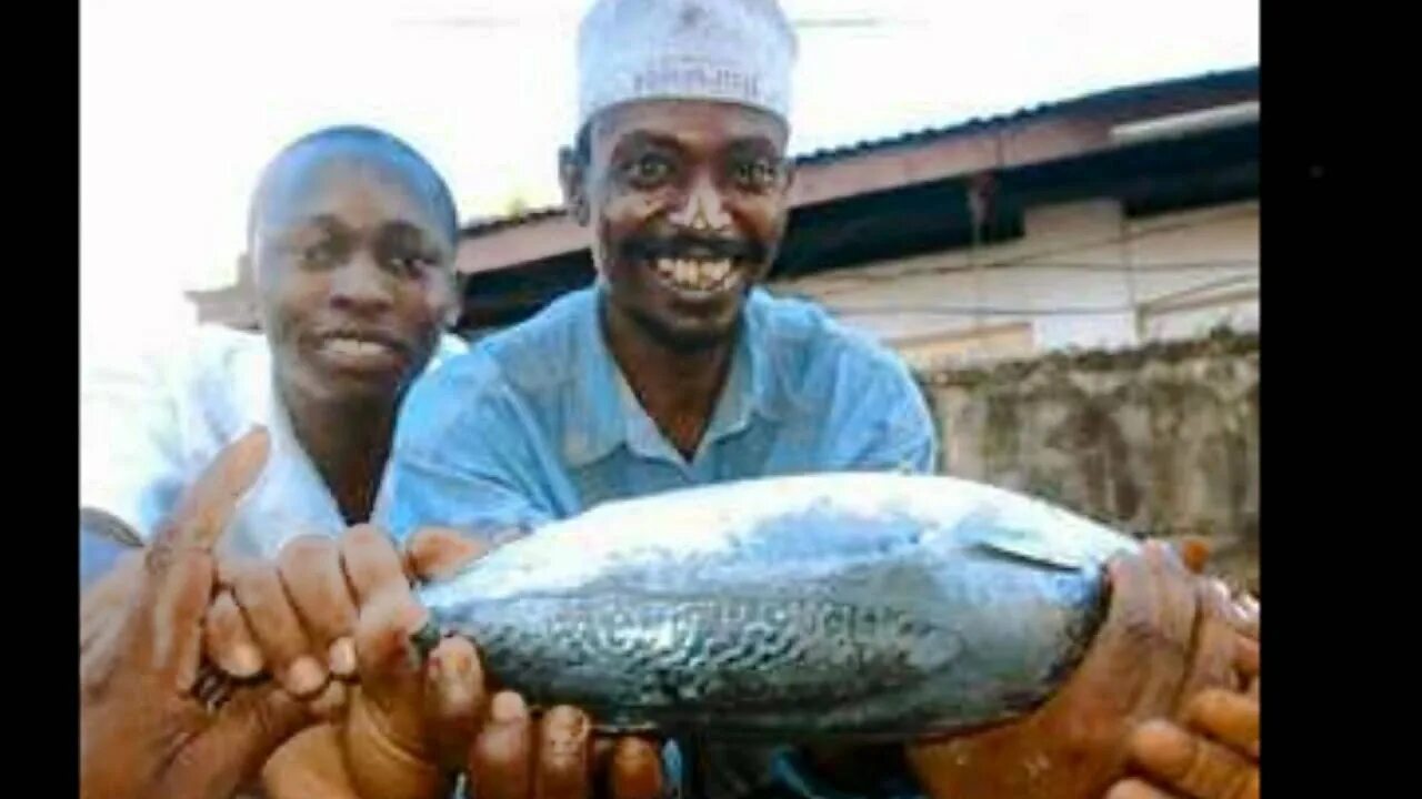 Мусульманские рыбы. Рыба для мусульман. Кения рыбы.