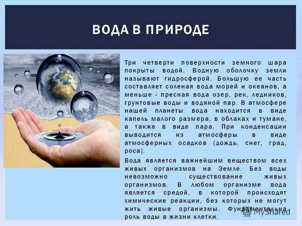 В твоем докладе мало живых примеров. Рассказ о воде. Сообщение о воде. Краткое сообщение о воде. Доклад о воде 3 класс.