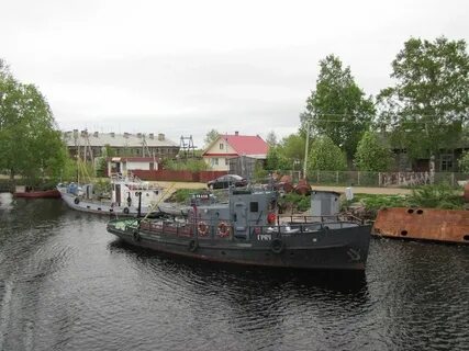 Свирица волховского