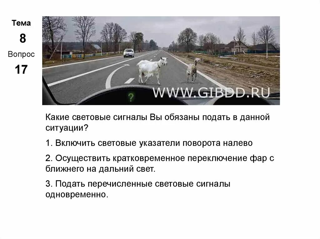 Обязаны ли вы в данной. Какие сигналы вы обязаны подать в данной ситуации. какие световые сигналы. какие световые сигналы вы обязаны подать. вопрос пдд с козой.