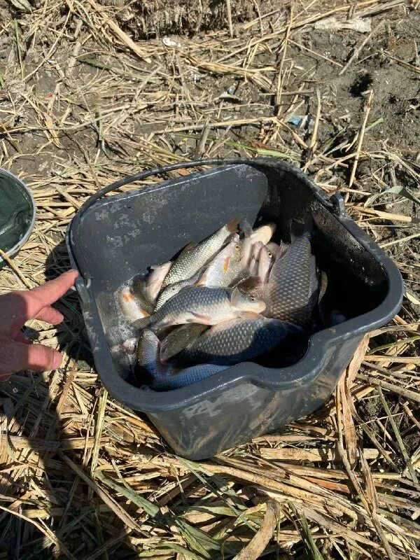 рыбалка абинск крымск