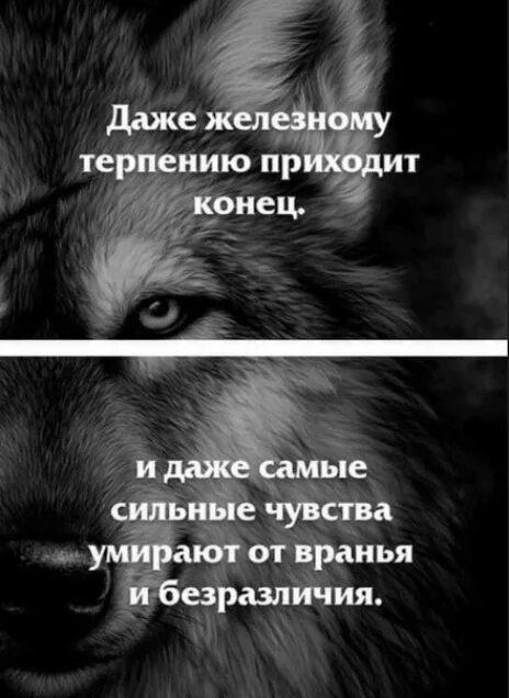 И железному терпению приходит конец. Когда терпению приходит конец. Моему терпению пришел конец. Иногда всему приходит конец. Если покажешь эмоцию умрешь как называется