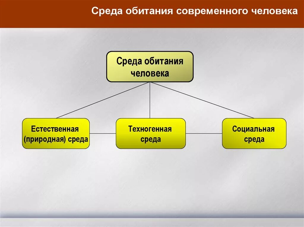 Средства обитания человека. Среда обитания это БЖД. Српда обитаоия человнка. Среда обитания современного человека. Социальная среда обитания.