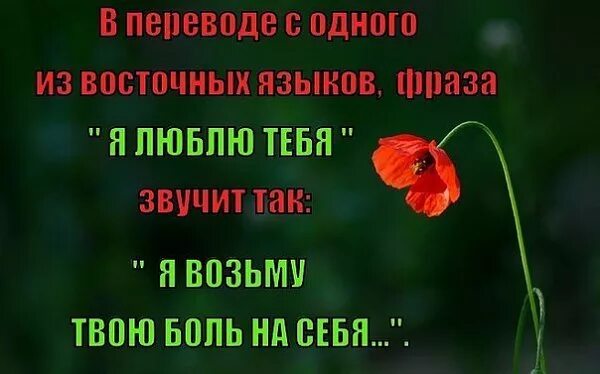 Возьму твою боль. Я возьму твою боль на себя. Я тебя люблю я возьму твою боль на себя. Заберу твою боль. Я заберу твою боль на армянском.