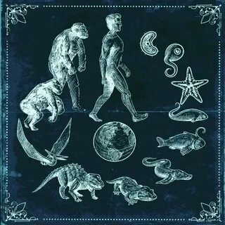 Life on earth