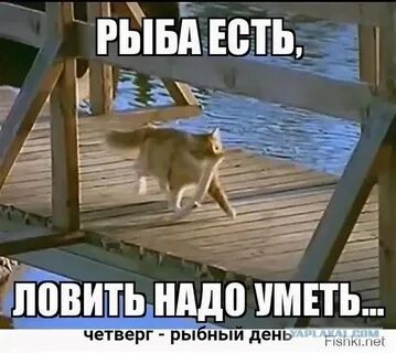 Чтобы рыбу съесть надо