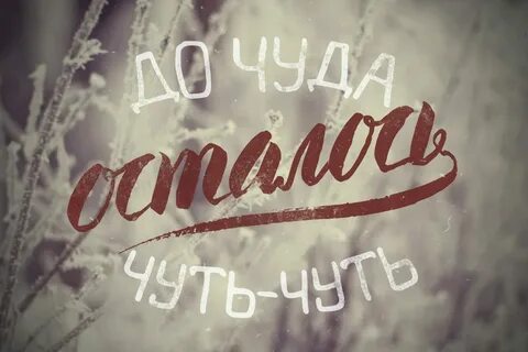 Здравствуй подожди