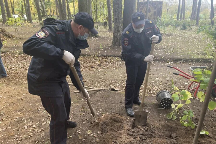 Аллею ветеранов высадили в му МВД России «Ногинское». Высадка деревьев акция в Тосно 12.05.2023. Полиция богородски округ. Генерал МВД сажает деревья в Салехарде.