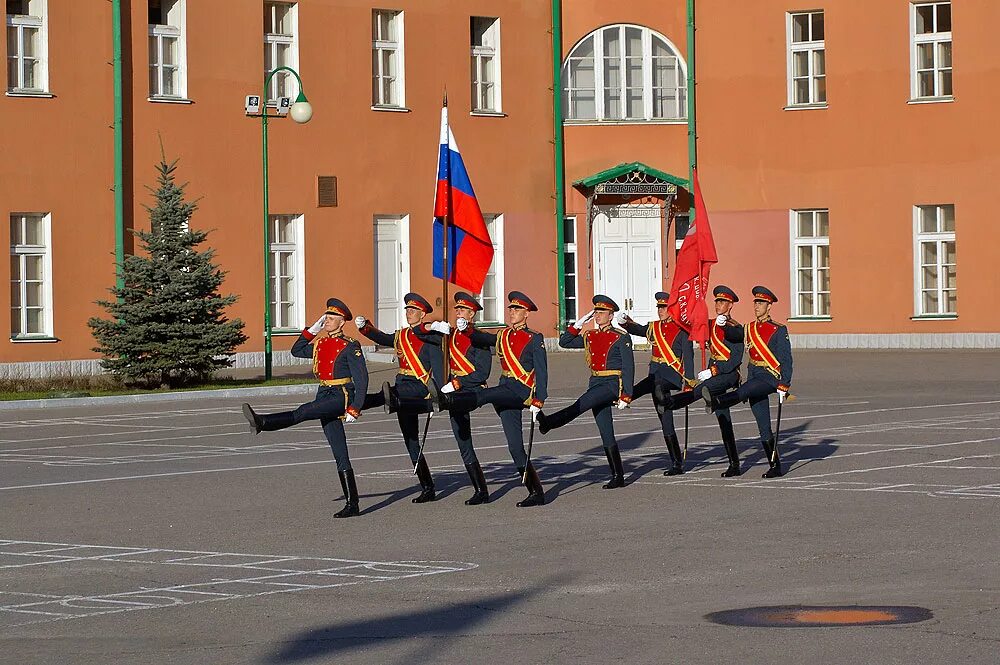 154 Комендантский Преображенский полк. Панталер и перевязи. Знаменная группа Преображенского полка. Панталер и Перевязь для знаменной группы.