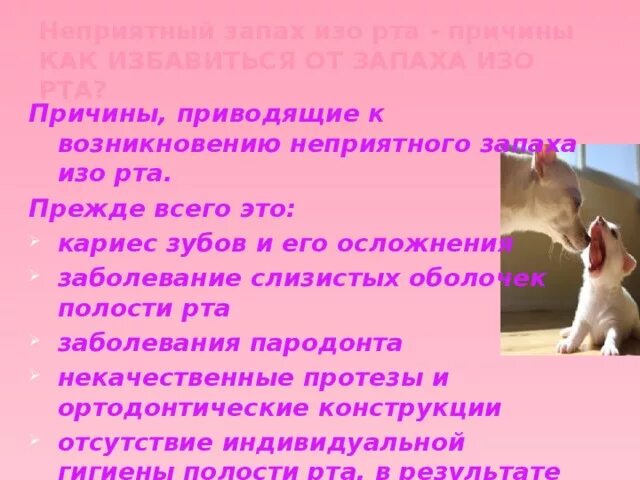 Воняет у кошки изо рта что делать. У кота пахнет изо рта причины. Запах изза РТВ причинф. Плохо пахнет изо рта причины.