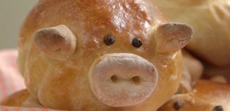 плед в виде пиццы. плед в виде пиццы. одеяло в виде пиццы. постельное белье с едой. поросята в одеяле в виде пиццы.