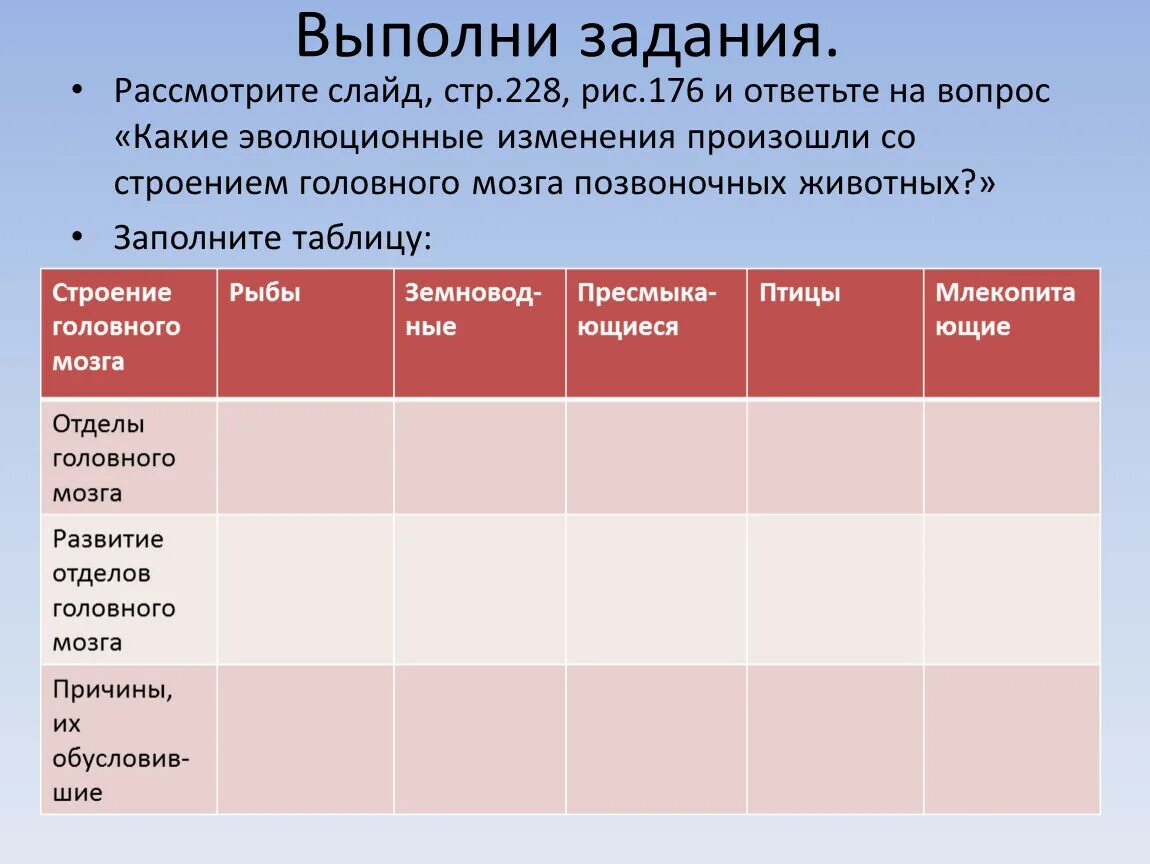 Таблица эволюции головного мозга. Таблица Эволюция изменения. Таблица изменения нервной системы животных. Эволюционные изменения нервная системы таблица. Головной мозг животных таблица.