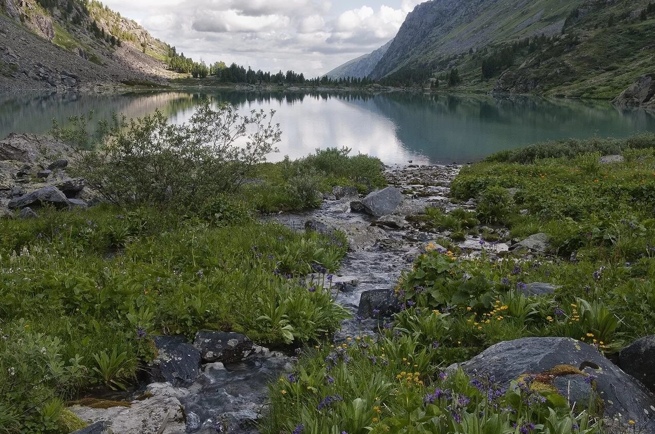 костомушскийзаповедник. реки саяно шушенского заповедника. стхлте алинбский зповденик. заповедник байкало-ленский заповедник. тебердинский заповедник серна.