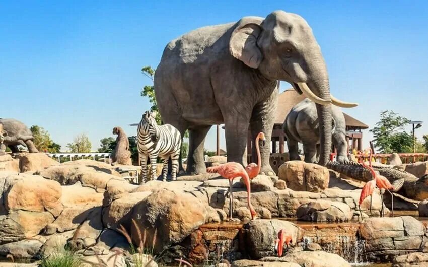 Сафари парк дубай. Сафари парк зоопарк в дубае. Dubai zoo дубай. Сафари парк бали. Сафари зоопарк дубай.