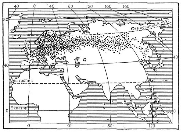 типы дизъюнктивных ареалов. ареал сосны обыкновенной в россии на карте. сибирская пихта ареал произрастания. ареал ландыша. липа мелколистная ареал распространения в россии.