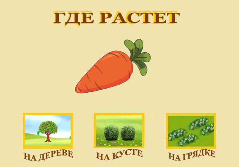 Игры где растет ребенок. Лото с фруктами для детей. Картинки для игры что где растет. Игры где растет ребенок. Игры где растет ребенок.