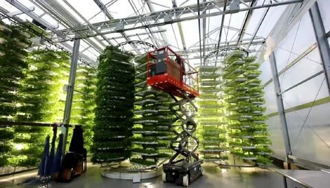 Plant facilities