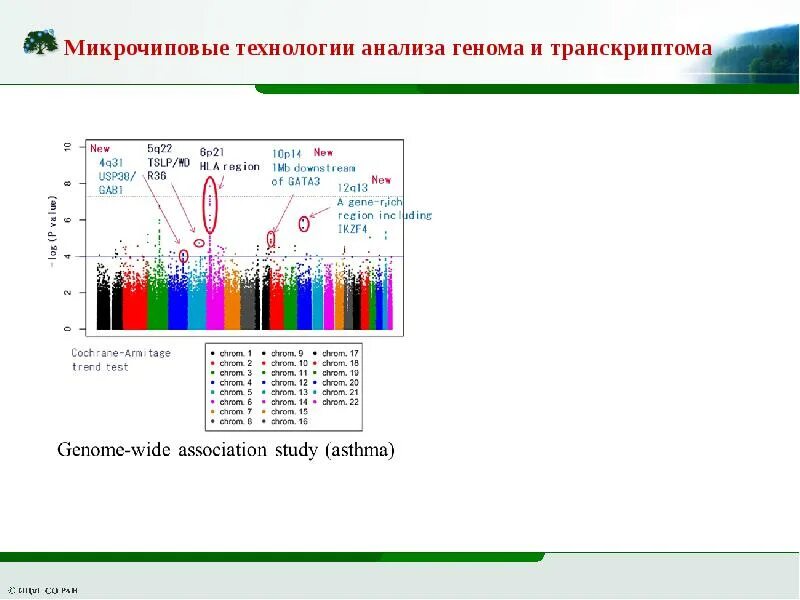 Анализируя геномы современного