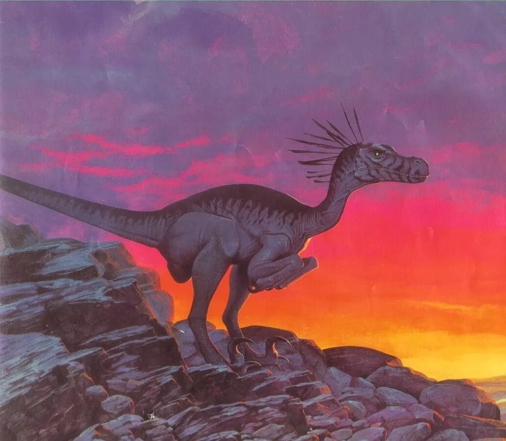 Dinosaurs rule