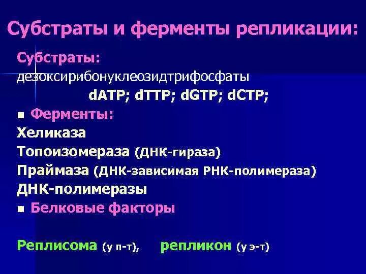 Днк гликозилазы функции. Условия репликации. Ферменты днк полимеразы. Субстраты днк. Ферменты репликации.