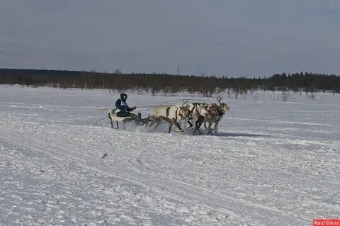 Погода в ловозере