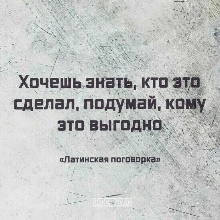 Пословица ищущий всегда найдет. Ищи кому выгодно. Ищите тех кому это выгодно. Цитаты с автором. Ищите кому выгодно.