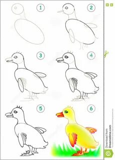 Нарисовать утку ребенку 1 класс