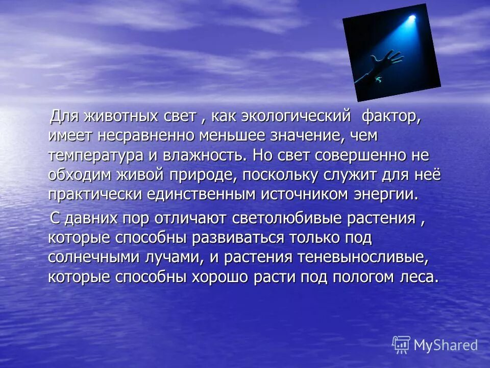 Что такое обращение и для чего оно. Для чего служит обращение. Значимые части слова. Презентация свет и температура. Питание в листе органические вещества образуются в листе в процессе.